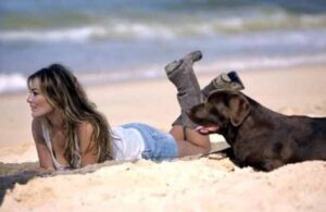8 celebridades que est&aacute;n en contra del maltrato animal