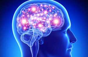 &iexcl;Activa tu cerebro!