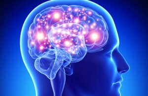 Activa a tu cerebro