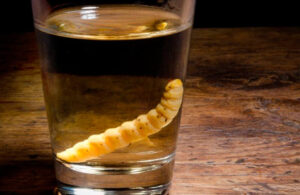 Mezcal de gusano
