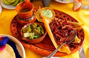 &iquest;Te atrever&iacute;as a comer estos platillos ex&oacute;ticos originarios de M&eacute;xico?