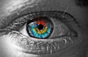 El ojo humano