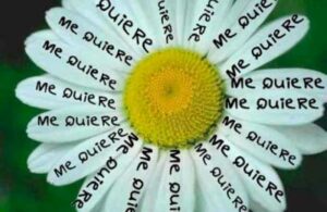 Floriografía