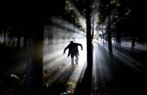 La escalofriante leyenda del &Aacute;rbol del Vampiro