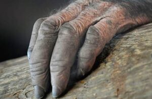 La famosa y aterrorizante leyenda de la Mano Peluda