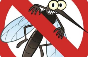 &iquest;Mosquitos molestos? Dile adi&oacute;s a las picaduras con estos 8 consejos