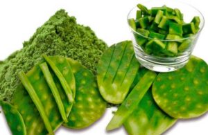 Nopal: 7 maravillosos beneficios que obtienes al consumirlo