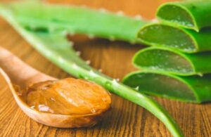 S&aacute;bila: 11 beneficios y usos de esta maravillosa planta