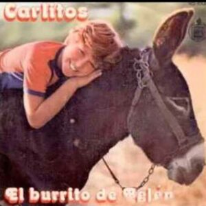 Mi Burrito Sabanero