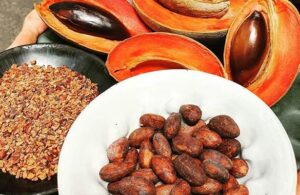 &iquest;Sab&iacute;as que el hueso de MAMEY es comestible?