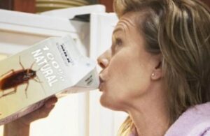 &iexcl;Mmm! un delicioso vaso con leche&hellip; &iquest;de cucaracha?