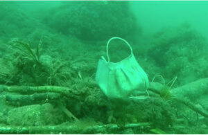 VIDEO: &iexcl;Nueva invasi&oacute;n! Cubrebocas y guantes utilizados durante la pandemia son arrojados al mar