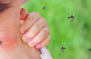 IMSS pide acudir a urgencias ante s&iacute;ntomas de dengue, sin temor de contraer covid-19