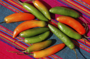 Chiles m&aacute;s picosos