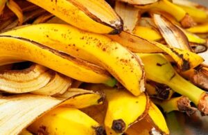 C&aacute;scara de pl&aacute;tano: &iexcl;No la tires! mejor util&iacute;zala y s&aacute;cale provecho con estos 8 usos