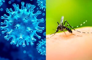 Covidengue, la sindemia que se ha vuelto una preocupaci&oacute;n m&aacute;s para los m&eacute;dicos