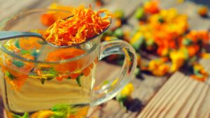 T&eacute; de Cempas&uacute;chil: 5 beneficios de esta poco conocida bebida