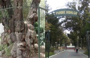 La misteriosa leyenda de Francisquito, el ni&ntilde;o del &aacute;rbol