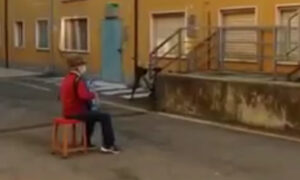 Rom&aacute;ntico abuelito lleva serenata a su esposa contagiada con Covid_19