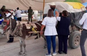 #Viral: Abuelito llega en carreta jalada por su burro a ponerse la vacuna anticovid