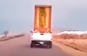 Fieles piden perd&oacute;n a Virgen de Guadalupe que cay&oacute; a mitad de la carretera