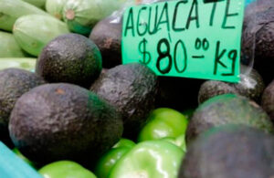 Precio del aguacate se eleva hasta los 80 pesos por kilo