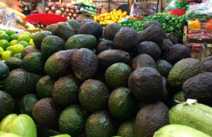 Precio del aguacate se eleva hasta los 80 pesos por kilo