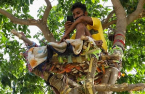 Joven tuvo que vivir en un &aacute;rbol para no contagiar a su familia de Covid_19