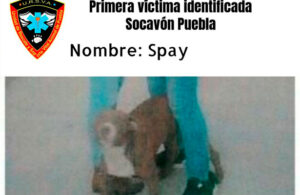 Con el hashtag #RescatenASpay, usuarios de redes piden rescate de perrito que cay&oacute; en socav&oacute;n de Puebla