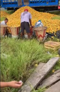 En pleno acto de rapi&ntilde;a, peque&ntilde;o decide comprar naranjas a trailero afectado