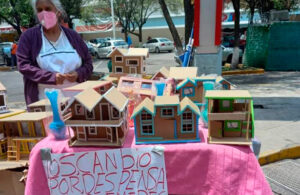 Abuelita cambia casitas de cart&oacute;n hechas por ella mima, por despensas
