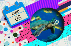 A partir del a&ntilde;o 2009 se conmemora el D&iacute;a Mundial de los Oc&eacute;anos