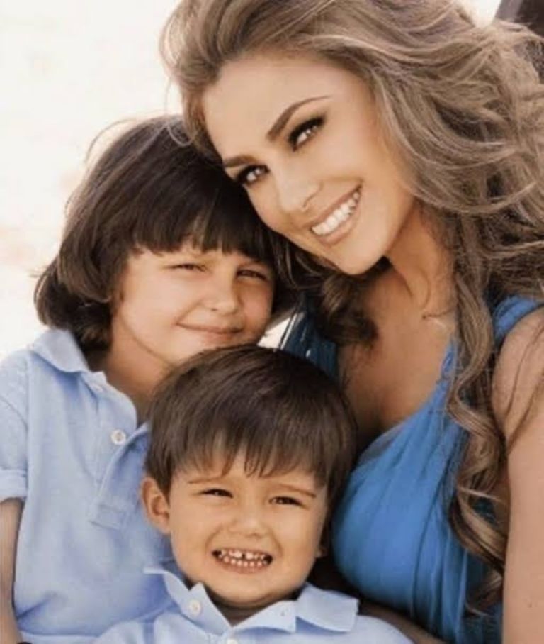 Afirman que Luis Miguel ya pag&oacute; se deuda por pensi&oacute;n alimenticia a Aracely Ar&aacute;mbula