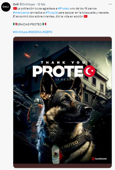 Proteo: &iquest;De qu&eacute; muri&oacute; el famoso perrito rescatista?