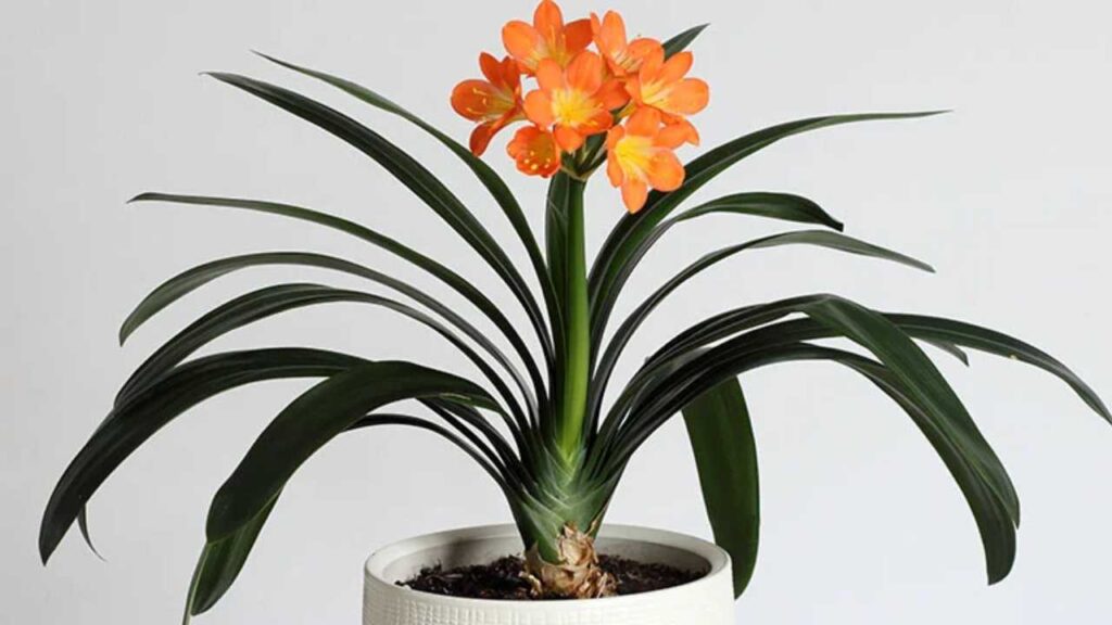 &iexcl;Cuidado! Estas son las plantas que podr&iacute;an matar a tu perrito debido a su toxicidad