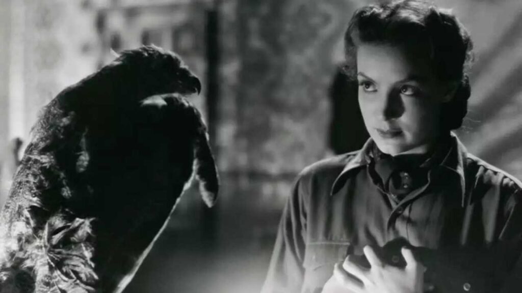 Mar&iacute;a F&eacute;lix, Cine, memoria y nuevas voces en Morelia