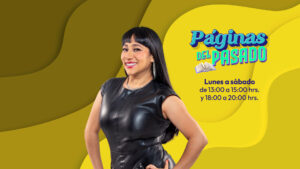 P&aacute;ginas